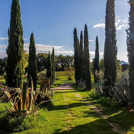 Agriturismo Bio Fattoria Casetta Gavorrano Extérieur photo