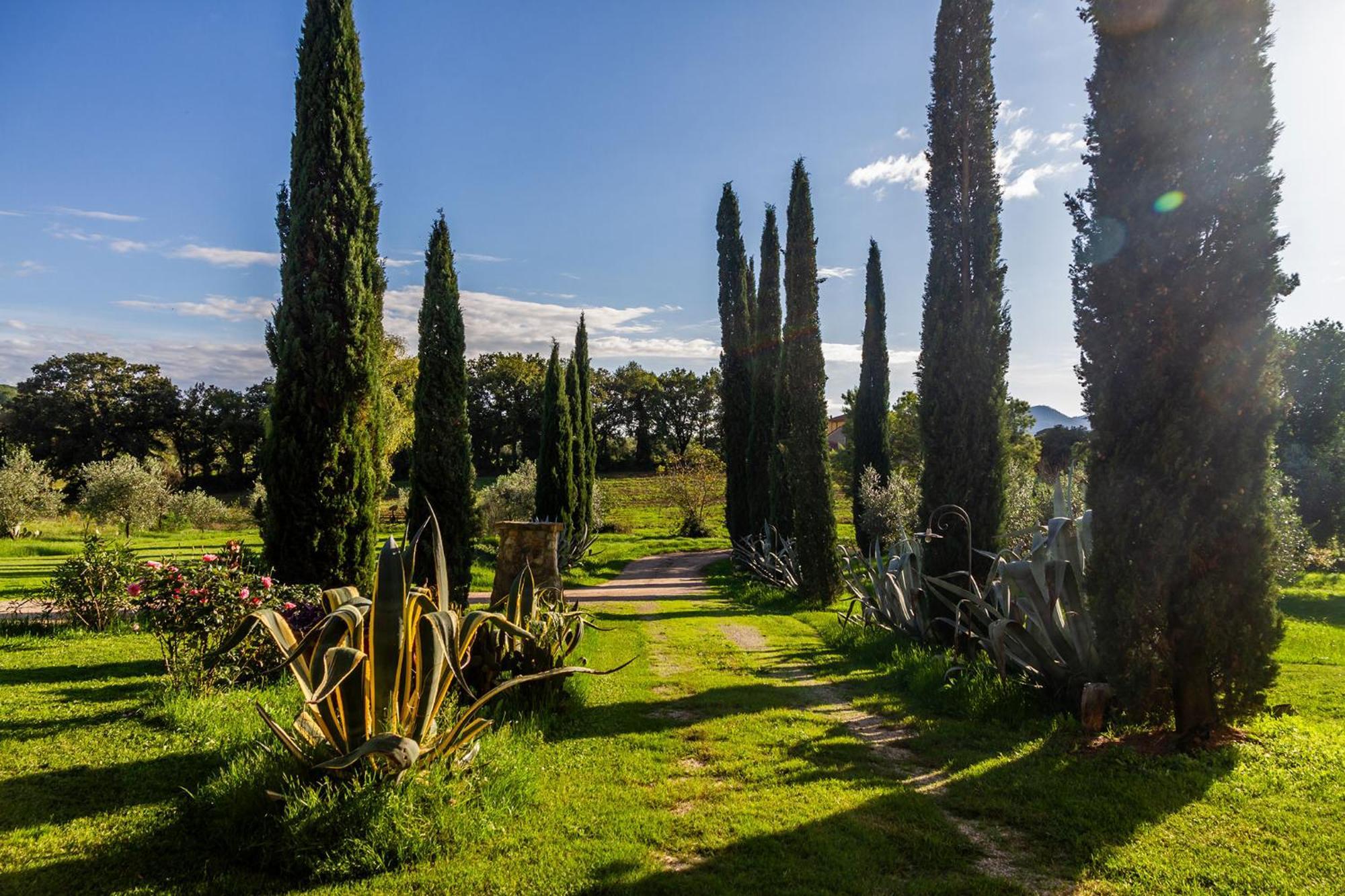 Agriturismo Bio Fattoria Casetta Gavorrano Extérieur photo