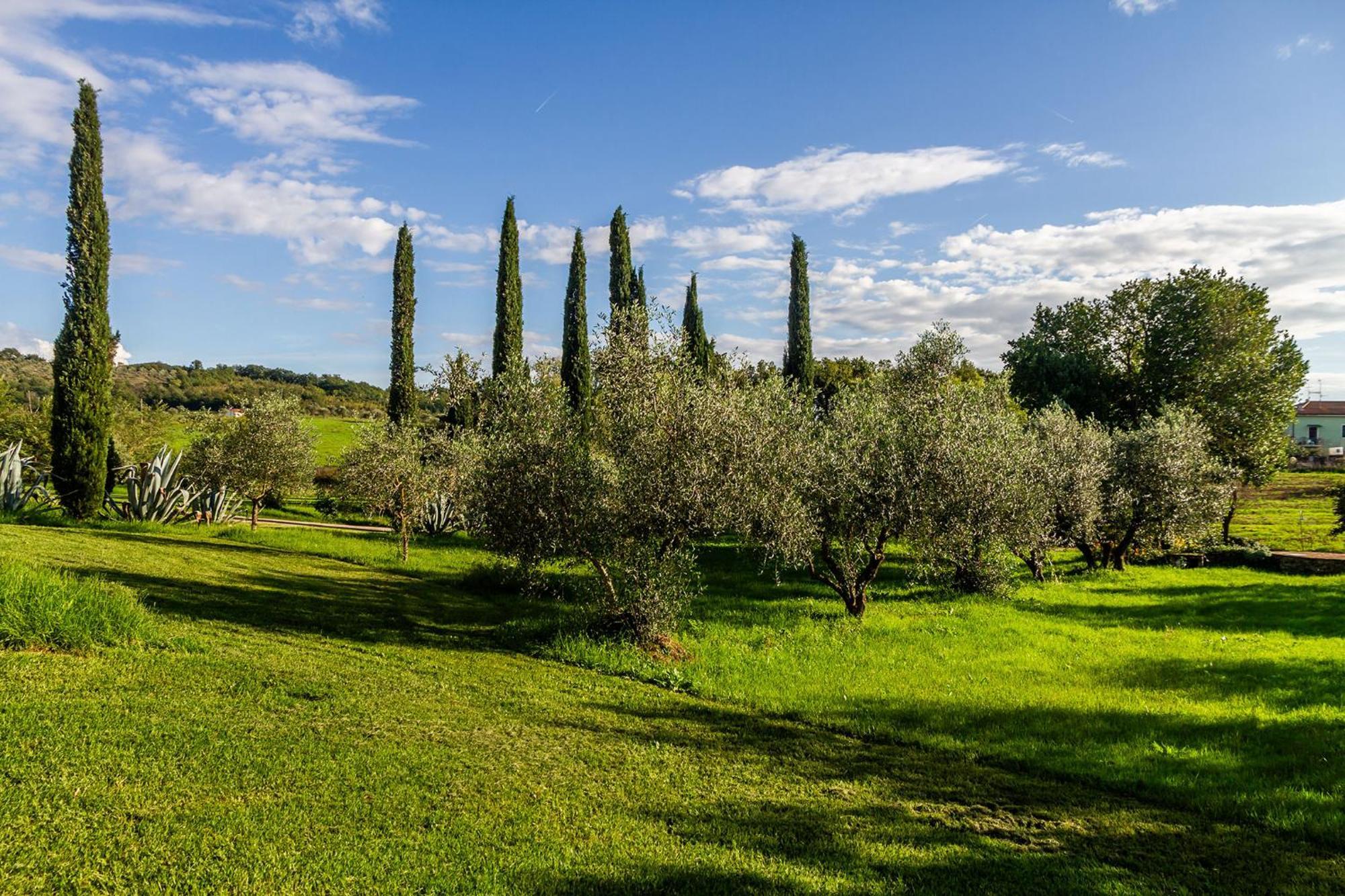 Agriturismo Bio Fattoria Casetta Gavorrano Extérieur photo