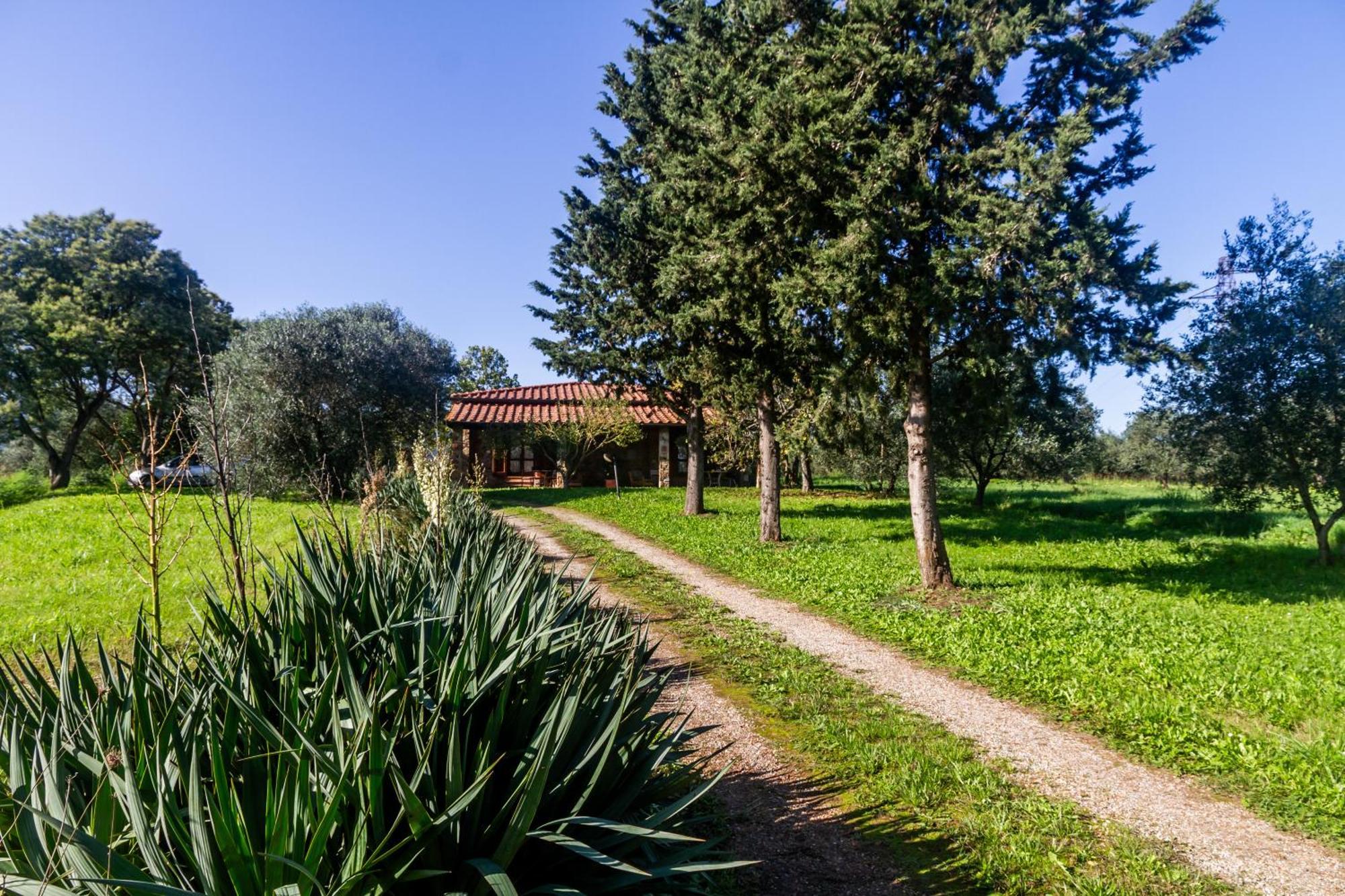 Agriturismo Bio Fattoria Casetta Gavorrano Extérieur photo